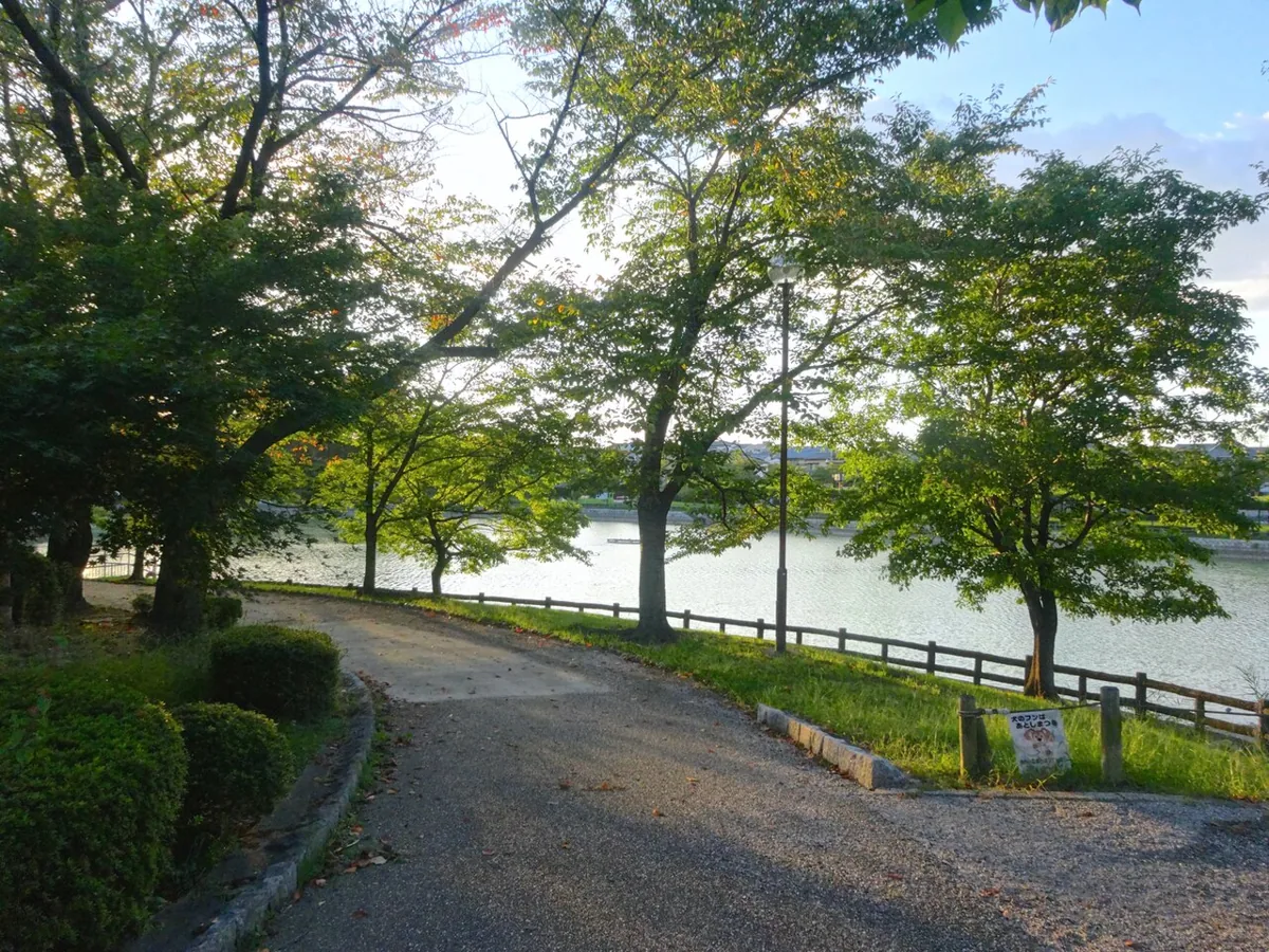 2014년 시로야마 공원 나가이케 연못가 길