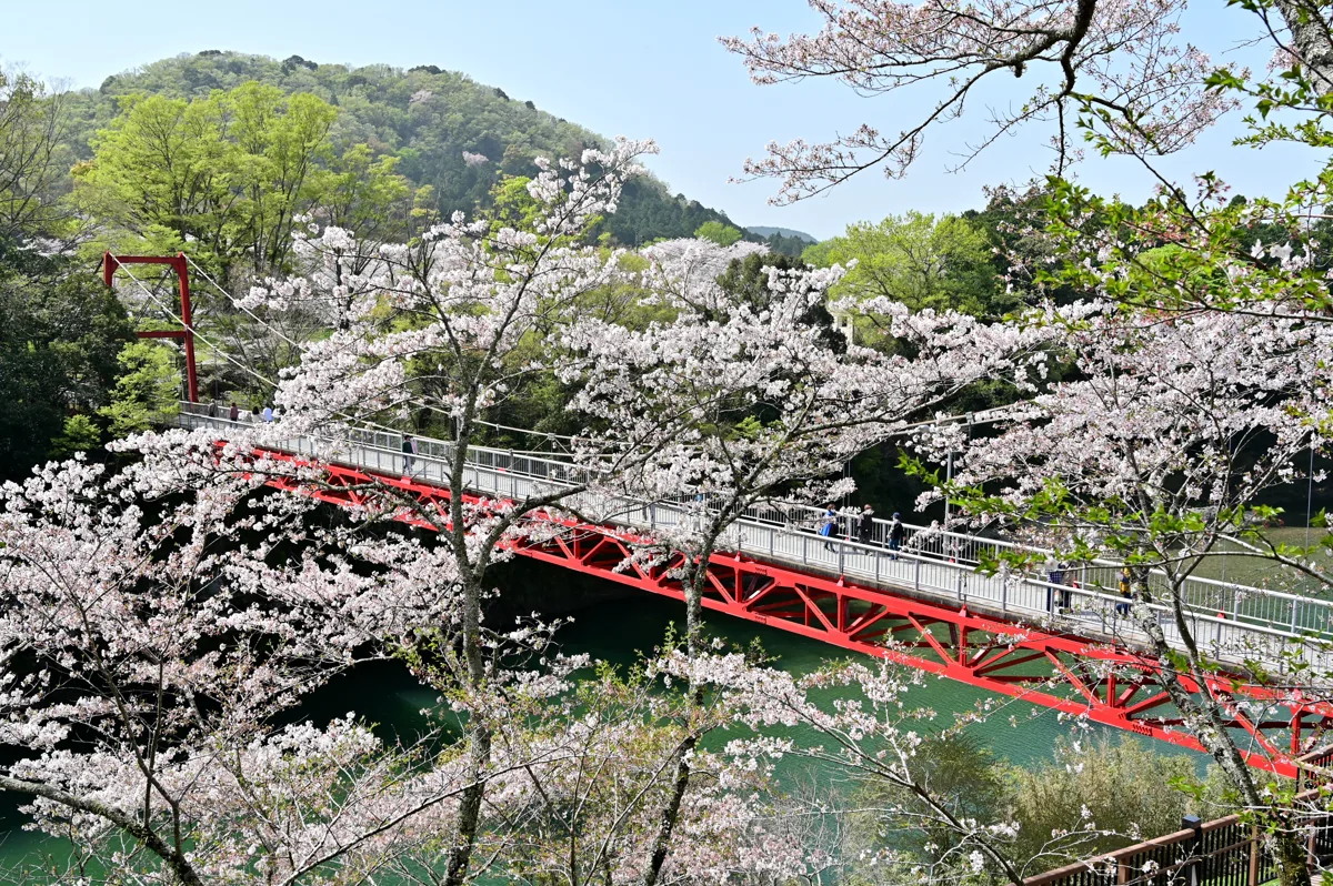 2021년 3월 사쿠라부치 공원의 가사이와 다리