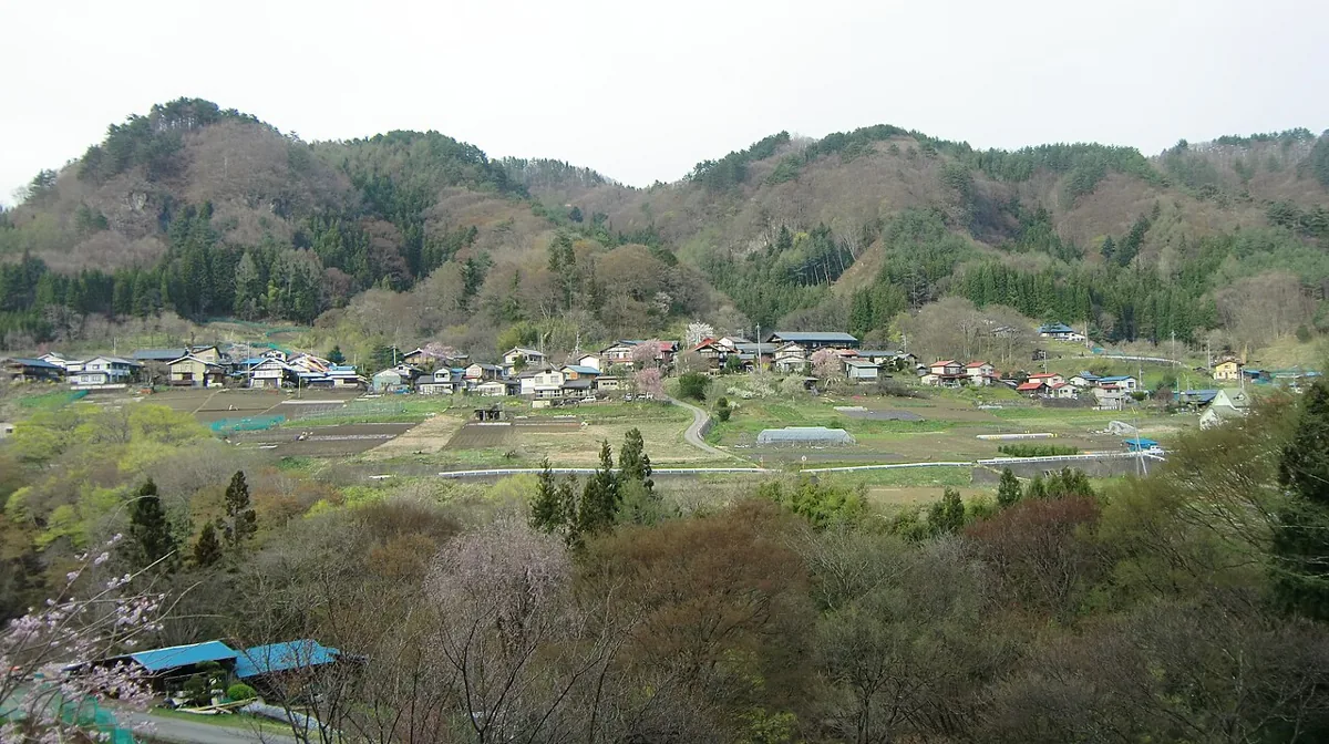 2011년 아카이와 집락 전체 풍경