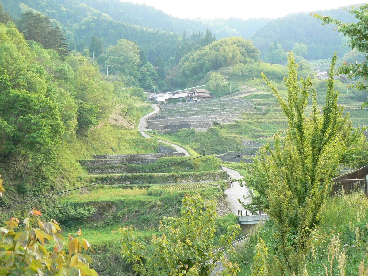 2009년 이니 계단식 논