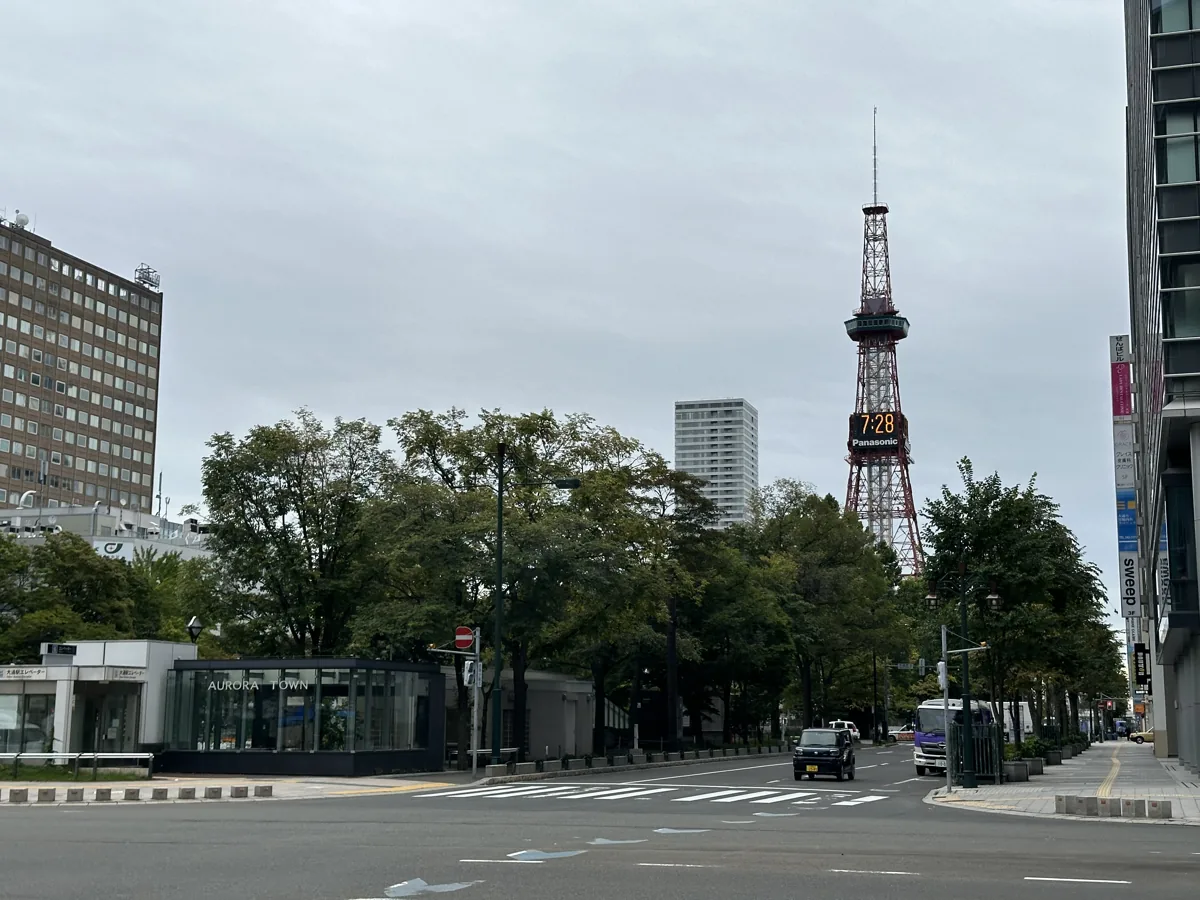 大通公園沿いの通りと木々の奥に見えるさっぽろテレビ塔