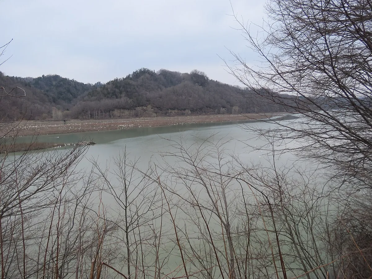 2023年春のにぶたに湖と水鳥