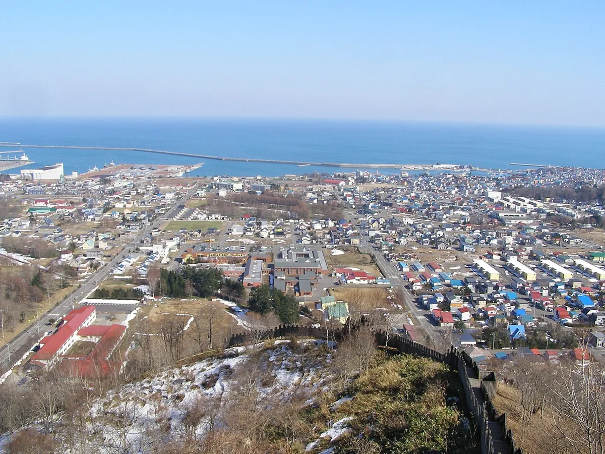 Hiroo town and Pacific Ocean view in 2011