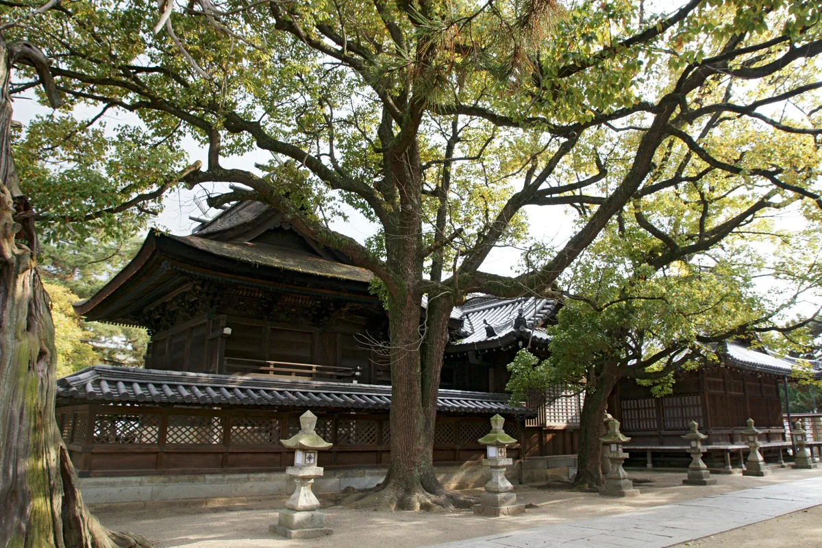 2010년 다카사고 신사 경내 건물