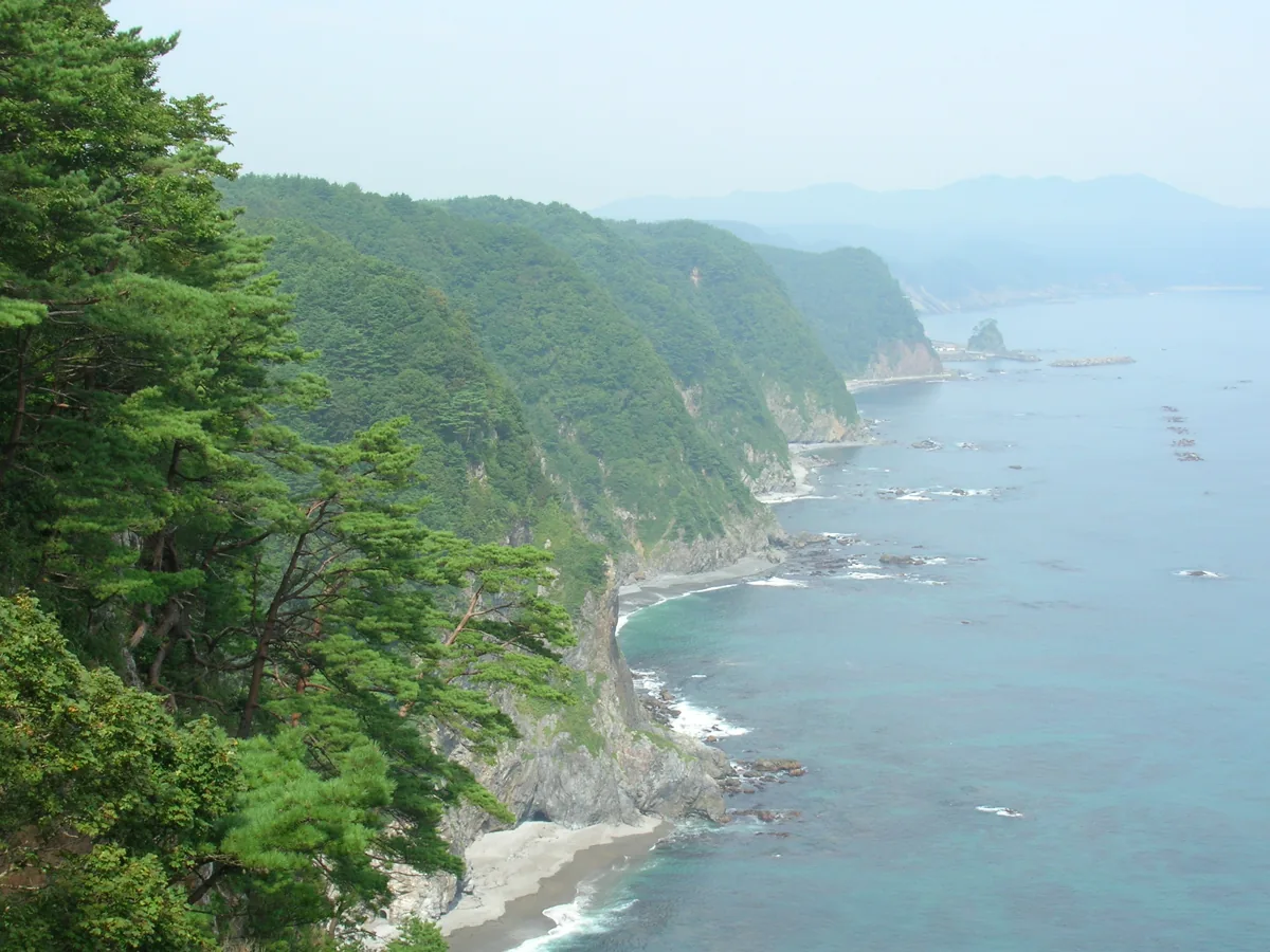 2005年の鵜の巣断崖
