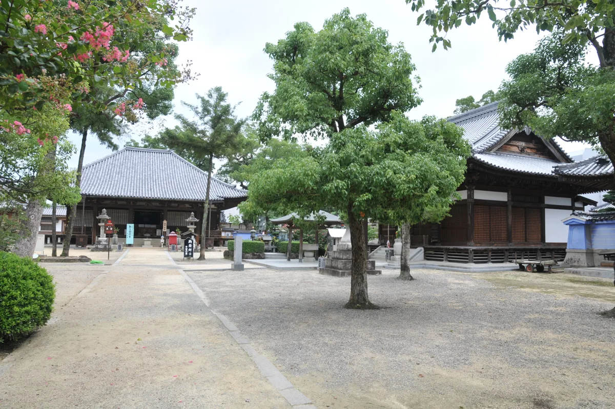 2009년 모토야마지 경내와 건물
