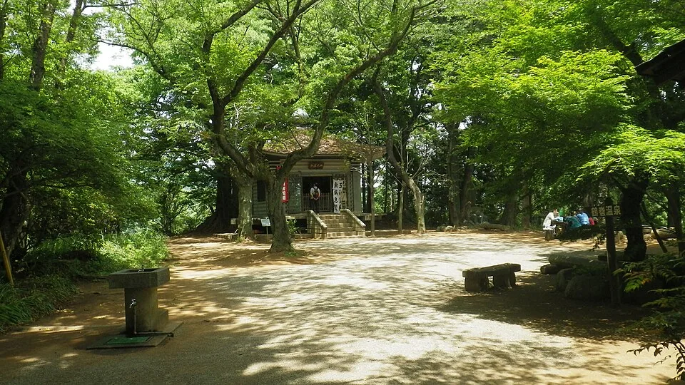고보야마 산정의 숲과 작은 불당