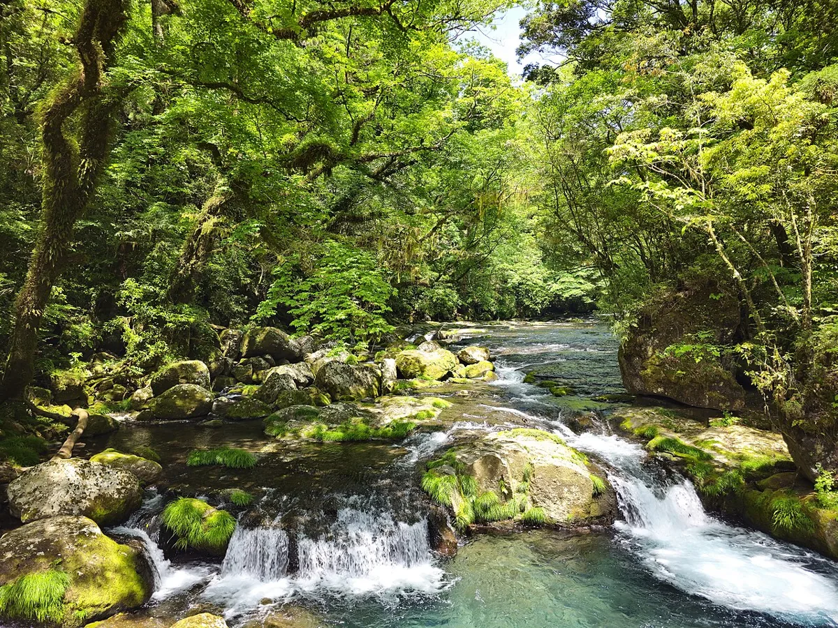 2024年の菊池渓谷の広河原