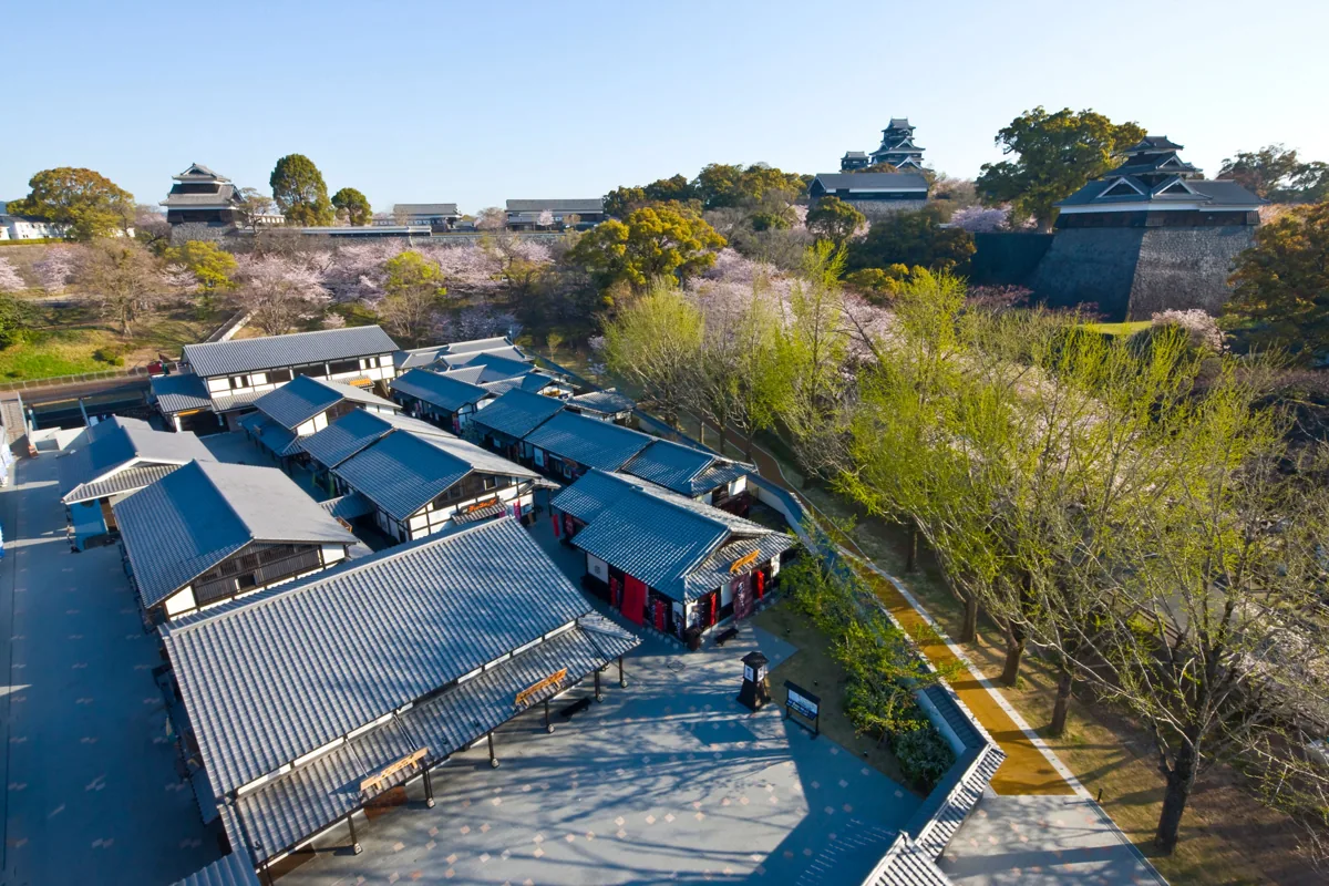 Josaien photographed in January 2016, before the earthquake