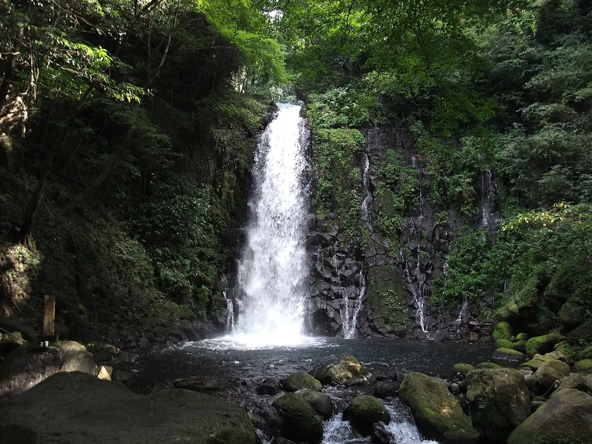 니시하라 시라이토 폭포의 물줄기와 숲, 2009년