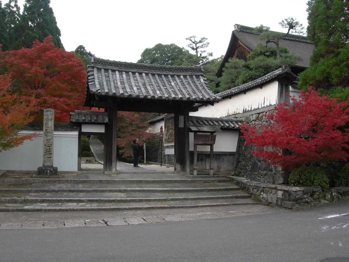 2010년 잇큐지의 총문