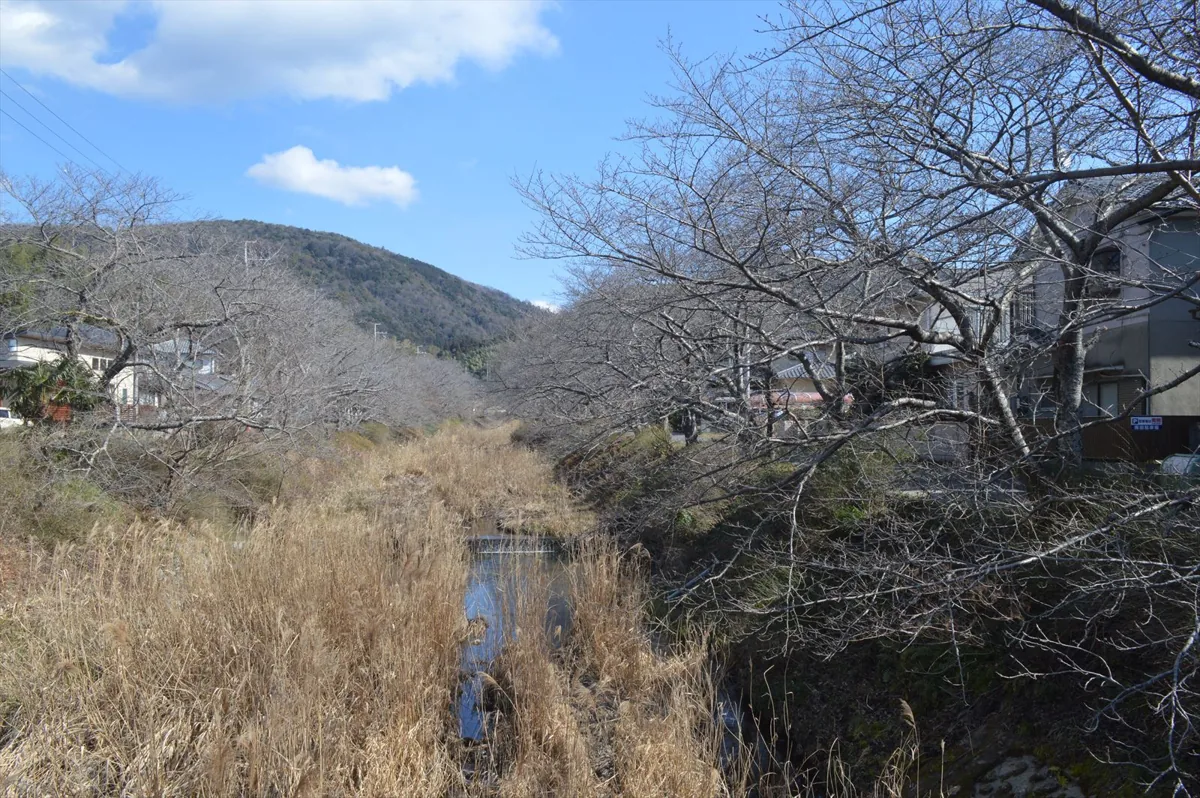 井手町の玉川の冬景色、2018年2月