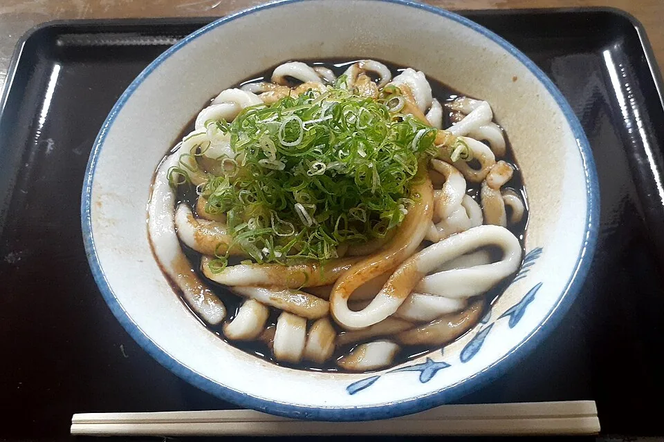 店で撮影された伊勢うどんの例