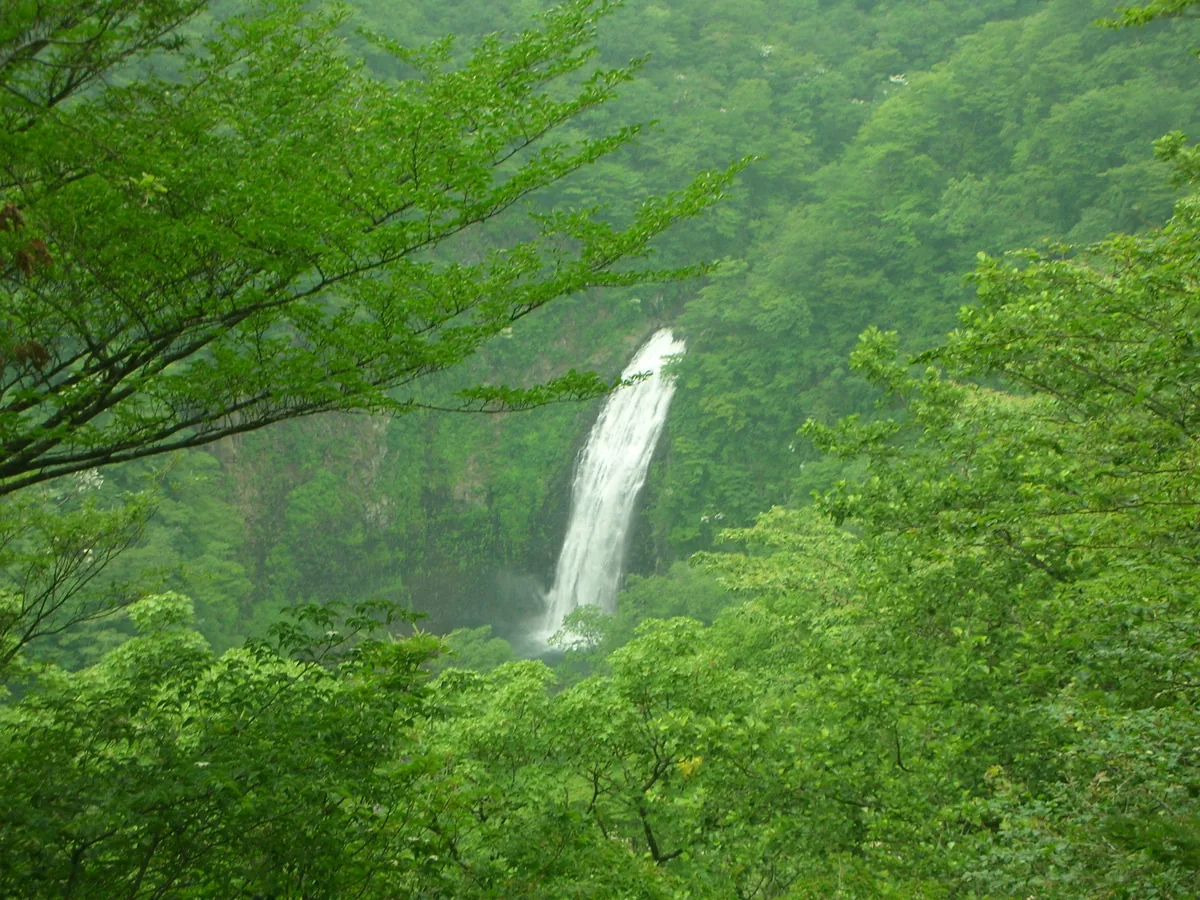 자오 불동폭포, 2015년 촬영