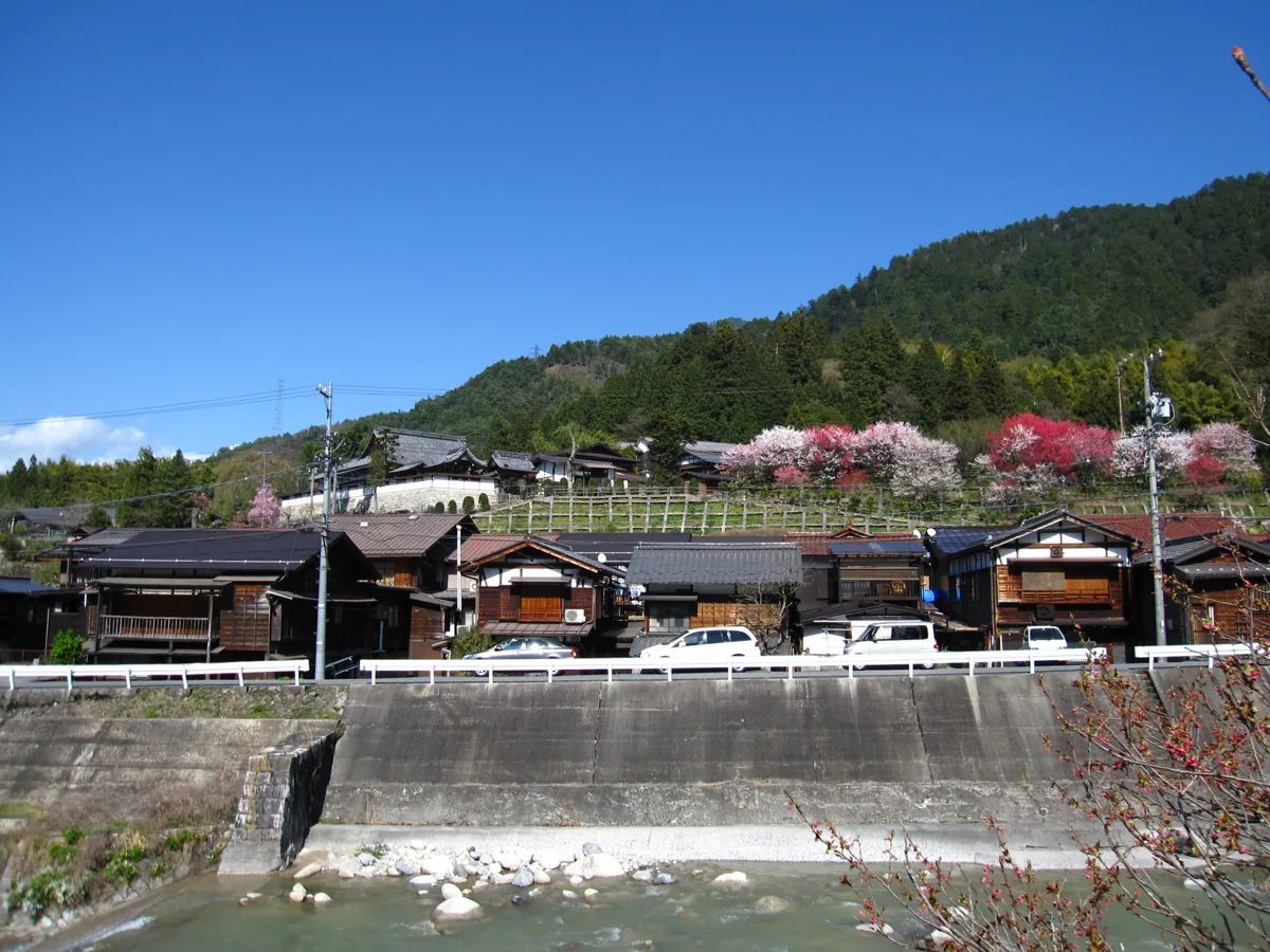 2009年4月の妻籠宿の川辺の町並みと桜