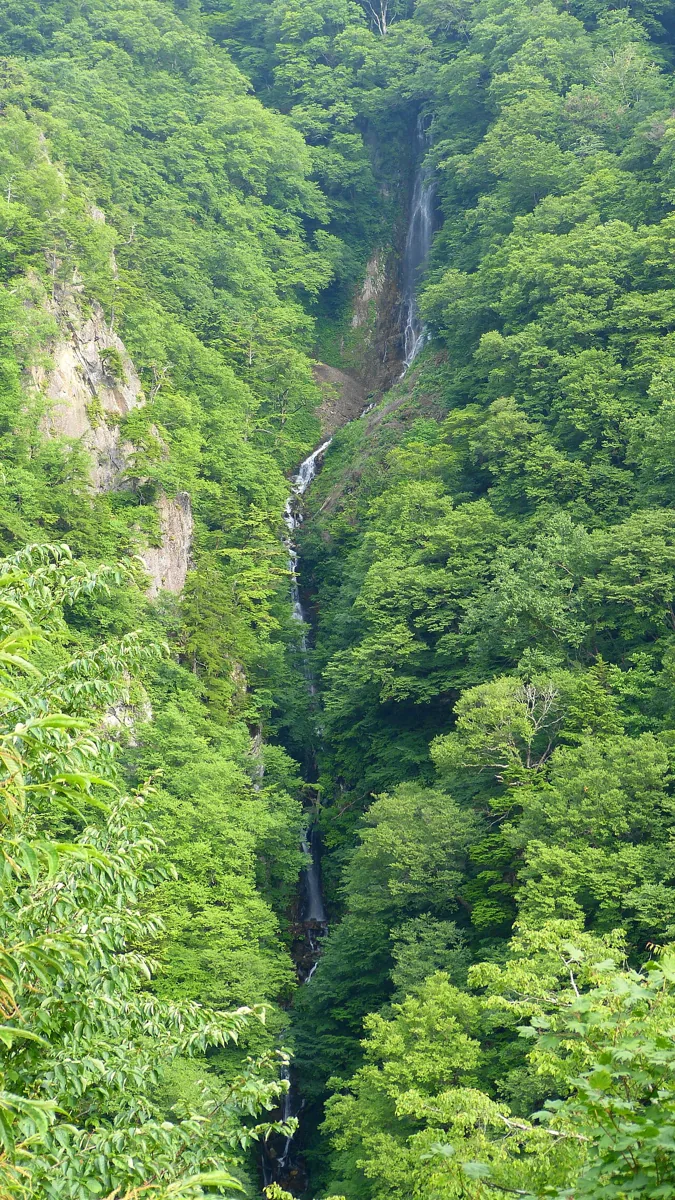 2012년 7월 숲 사이로 보이는 야타키 폭포