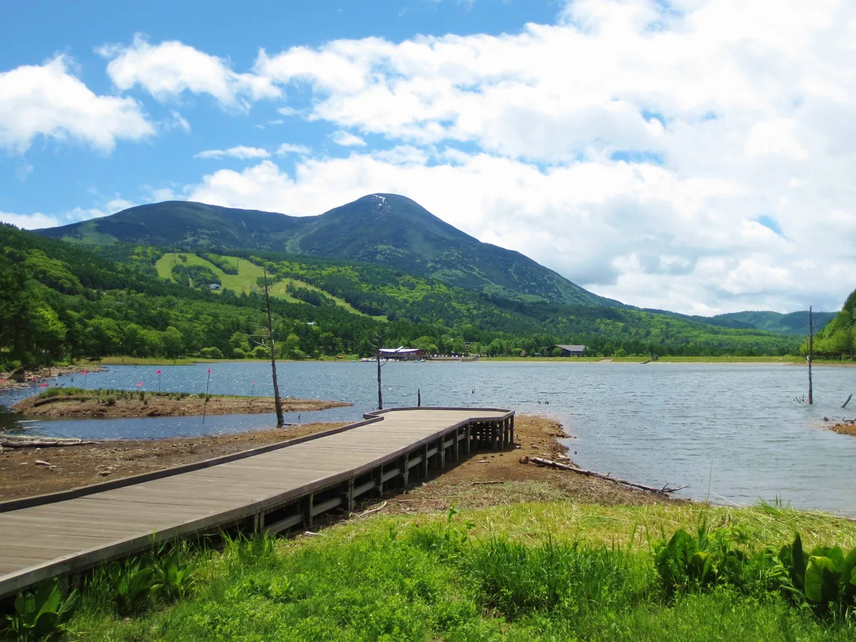 2014年6月の女神湖と山の風景