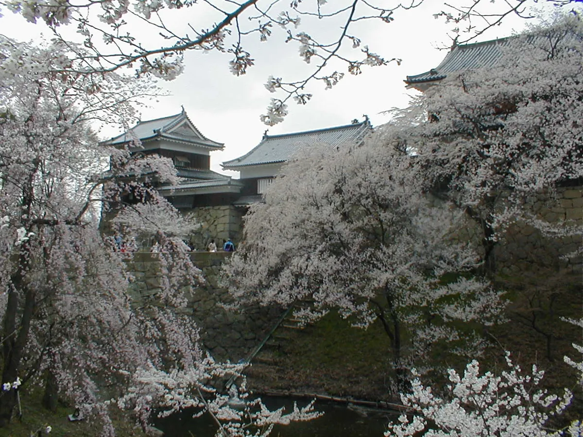 2007年4月の上田城の堀・桜・櫓