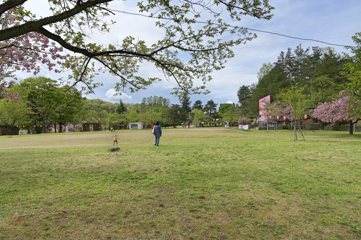 悠久山公園の芝生広場、2019年5月