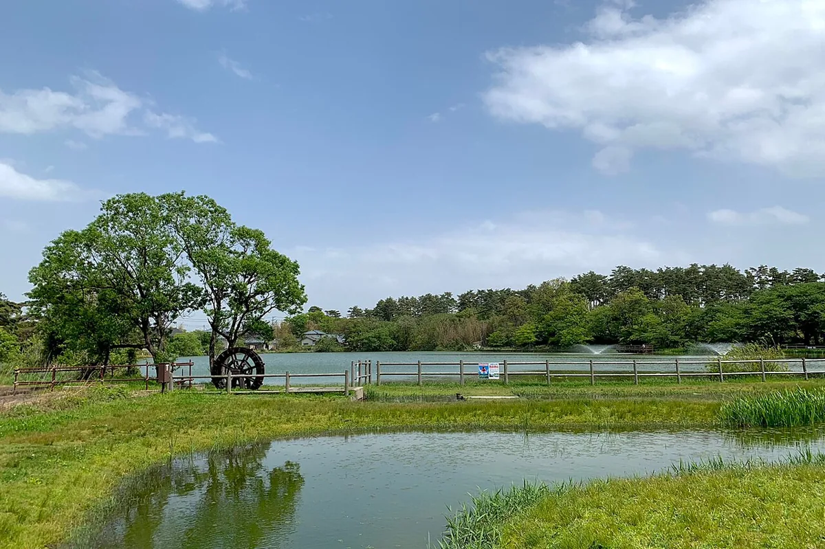 弁天潟風致公園の水辺、2021年5月