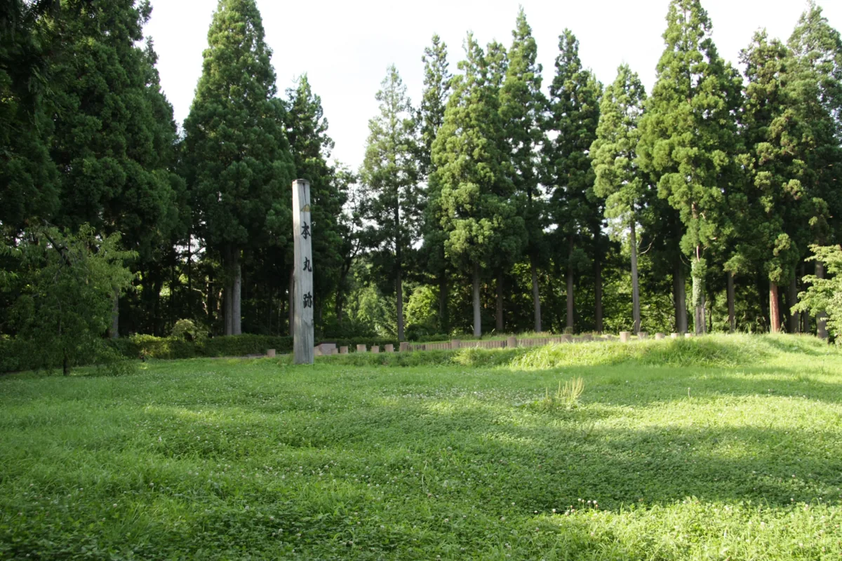 2009年の種里城本丸跡の草地と木々