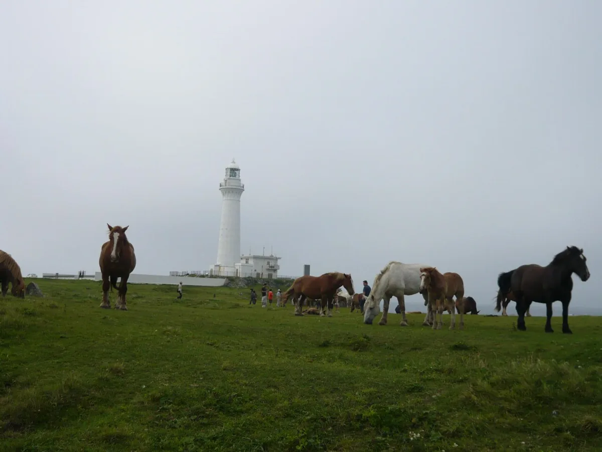 Shiriyazaki Lighthouse and Kandachime horses in 2009