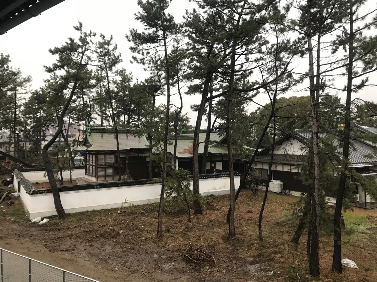 2019년 다카시노하마역 승강장에서 본 다카이시 신사의 소나무와 건물