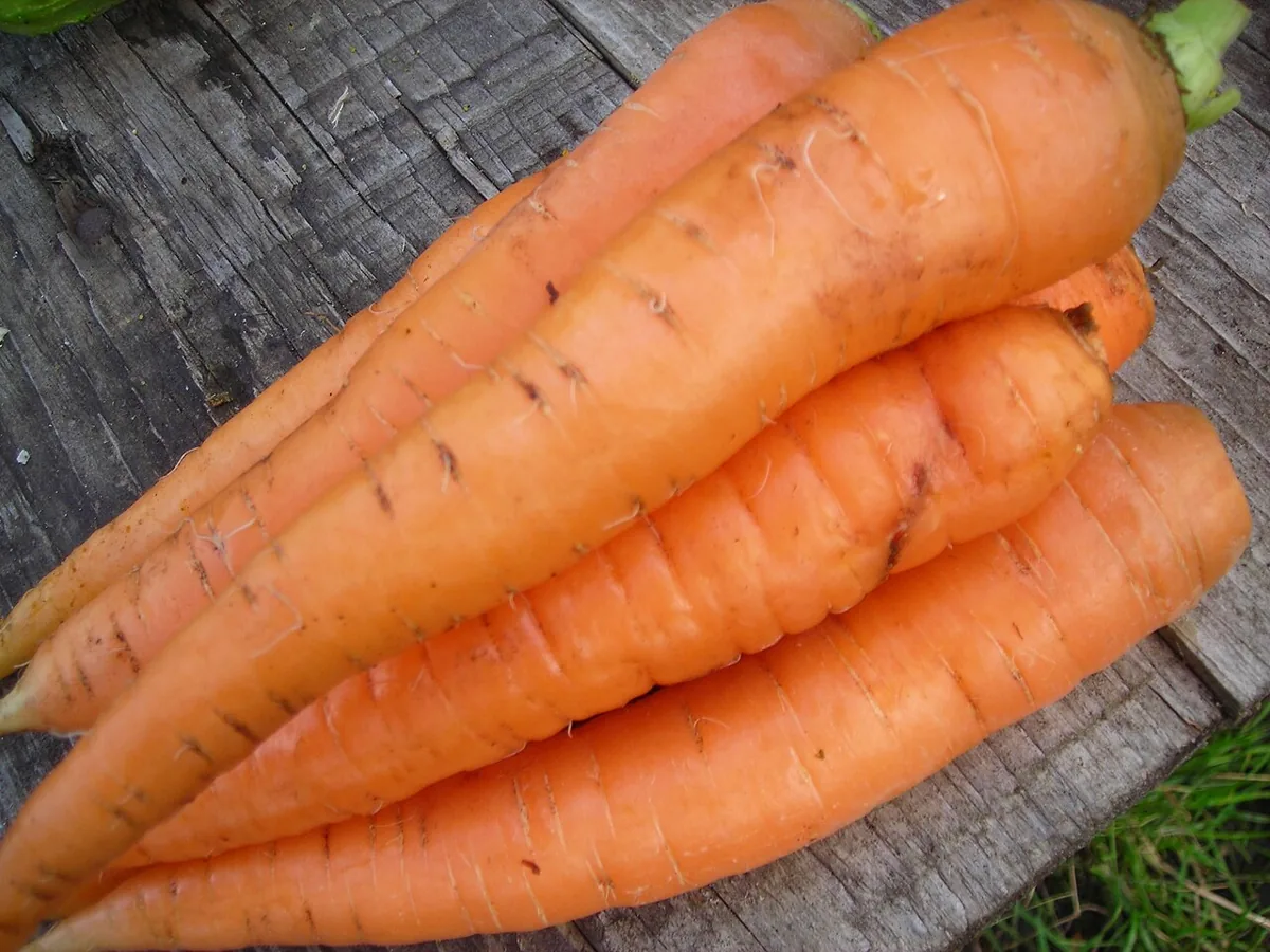 Carrot ingredient example photographed in 2007
