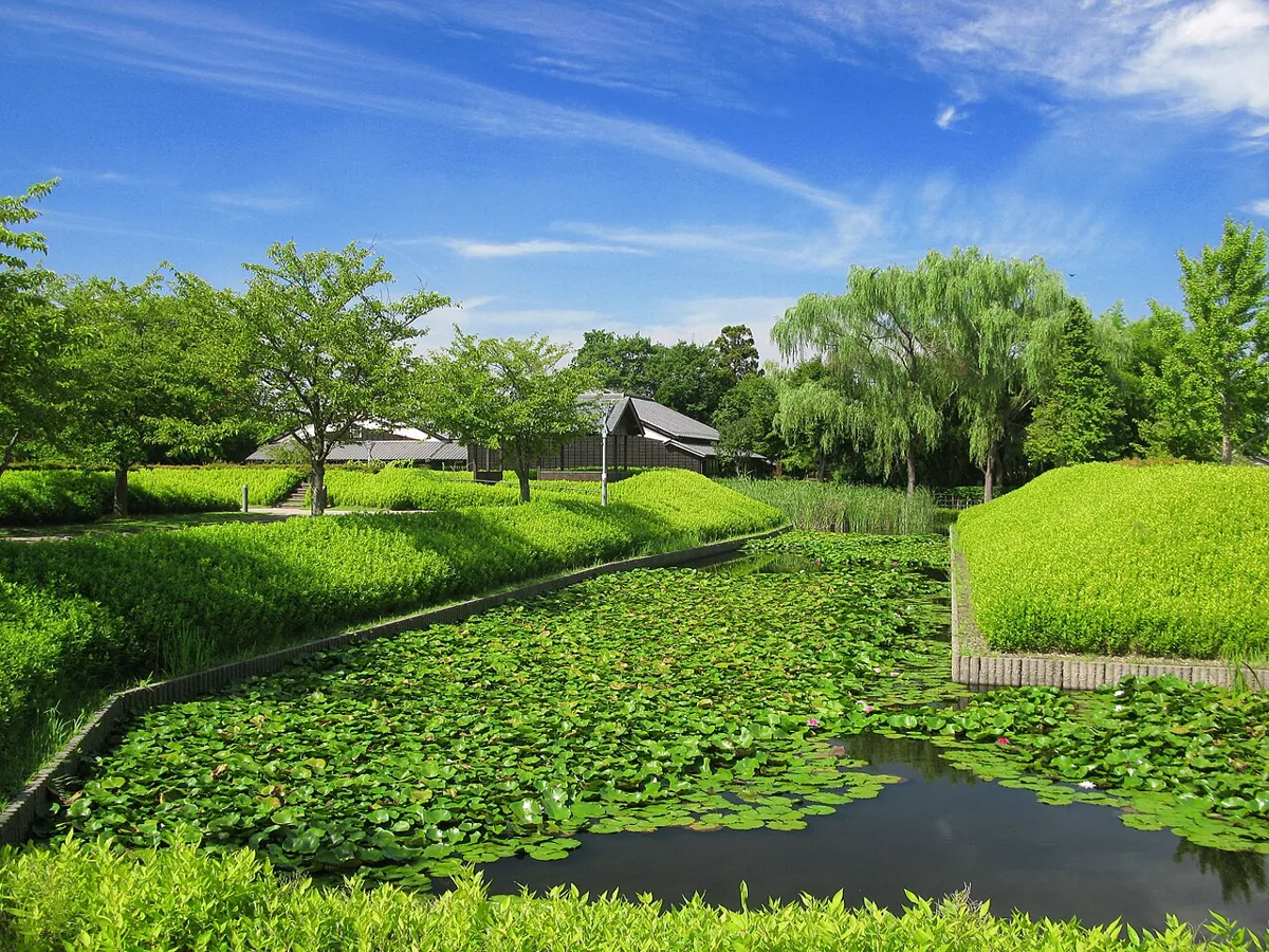 2012年9月の難波田城公園の水堀