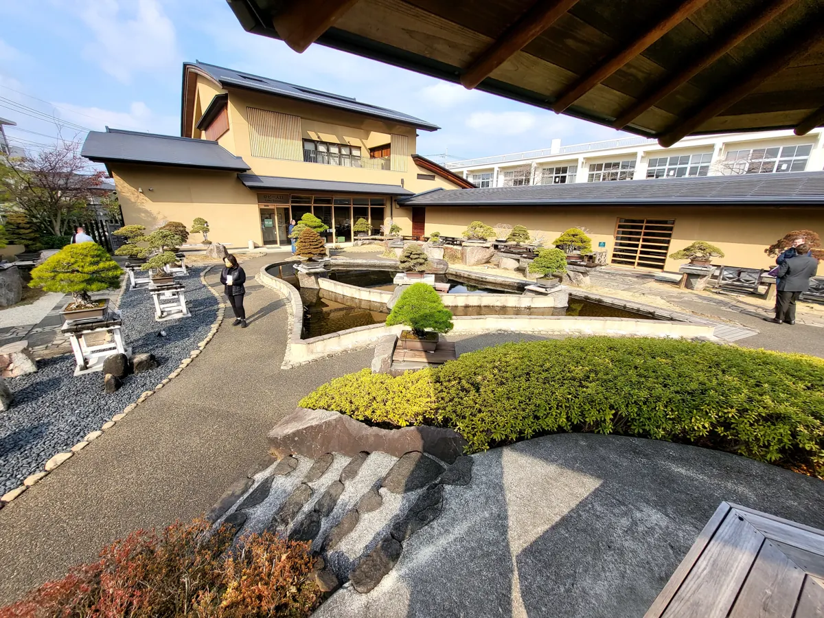 大宮盆栽美術館の庭園と盆栽