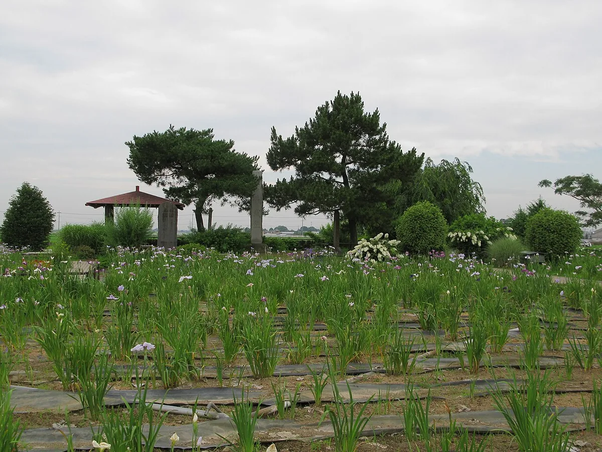 2011년 6월 쇼부성 터 주변