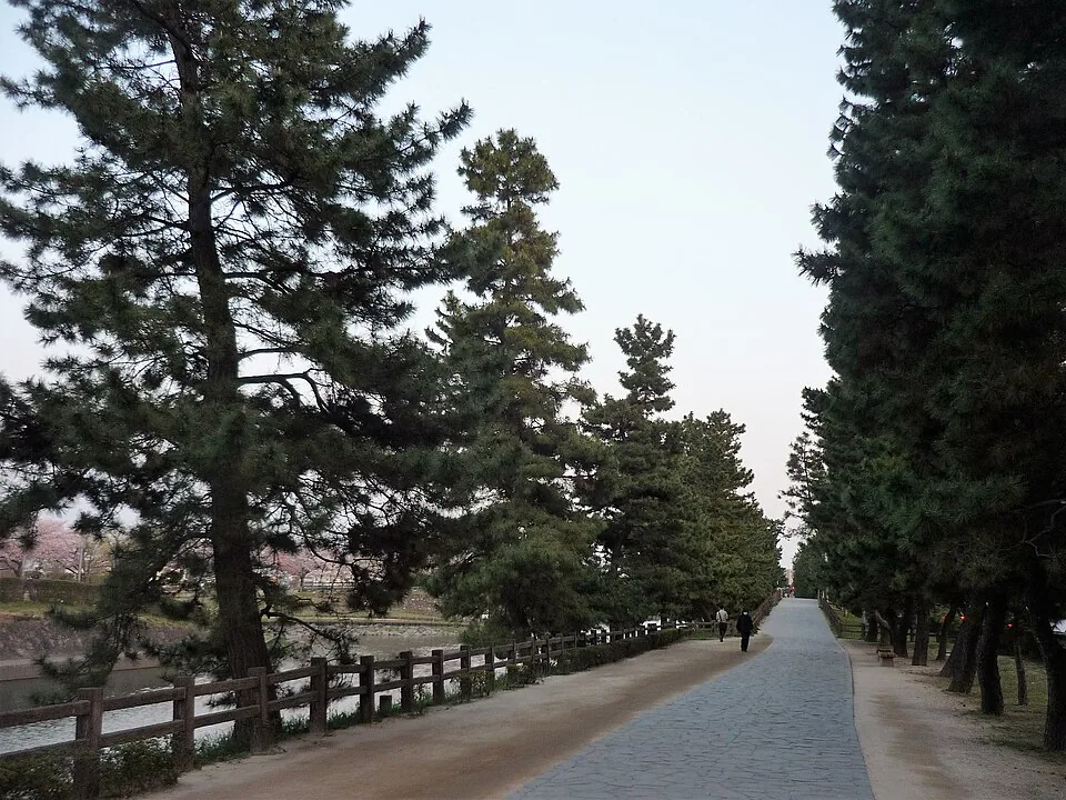 草加松原の松並木と遊歩道