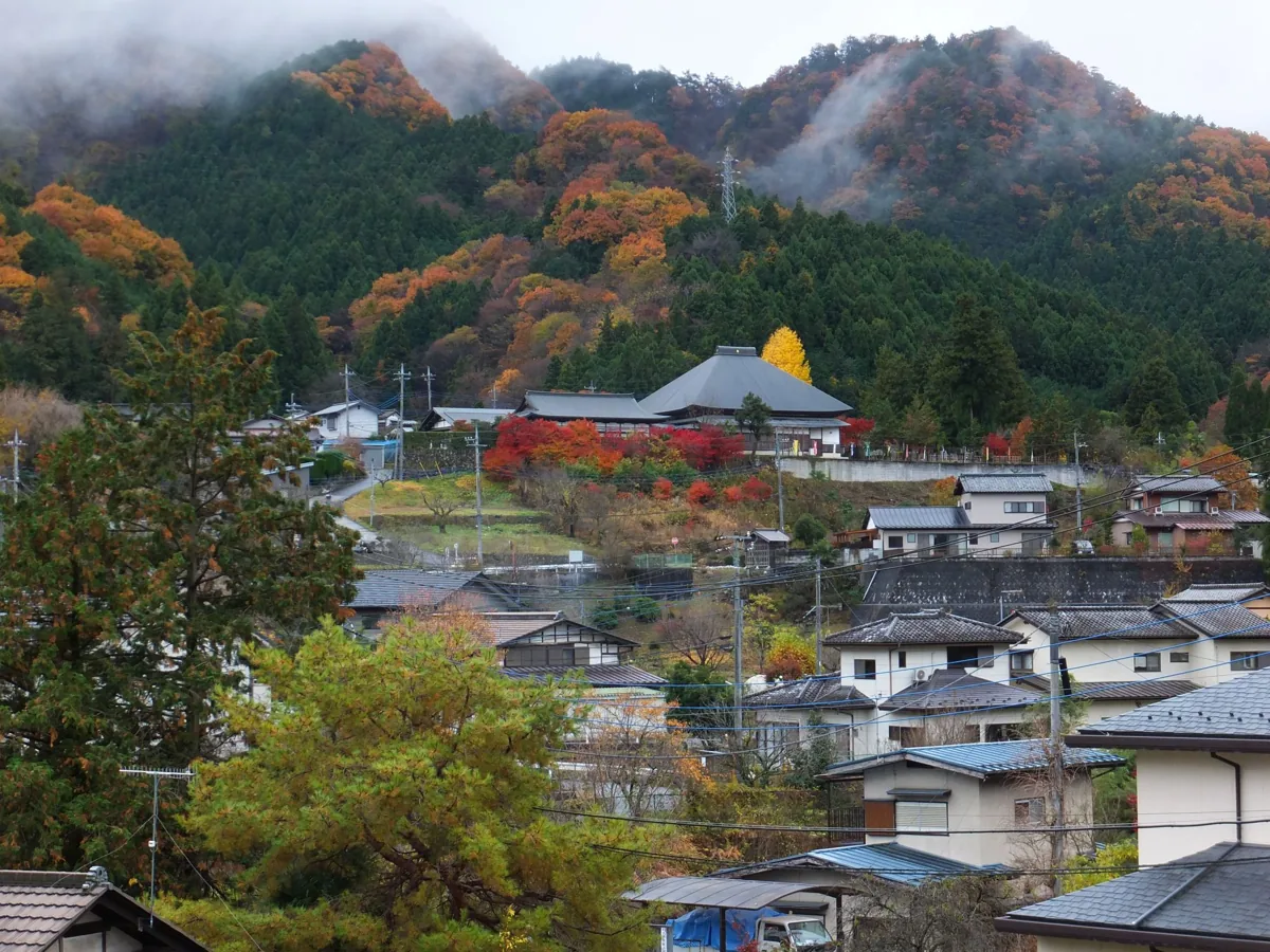 2019년 사이젠지를 바라본 모습