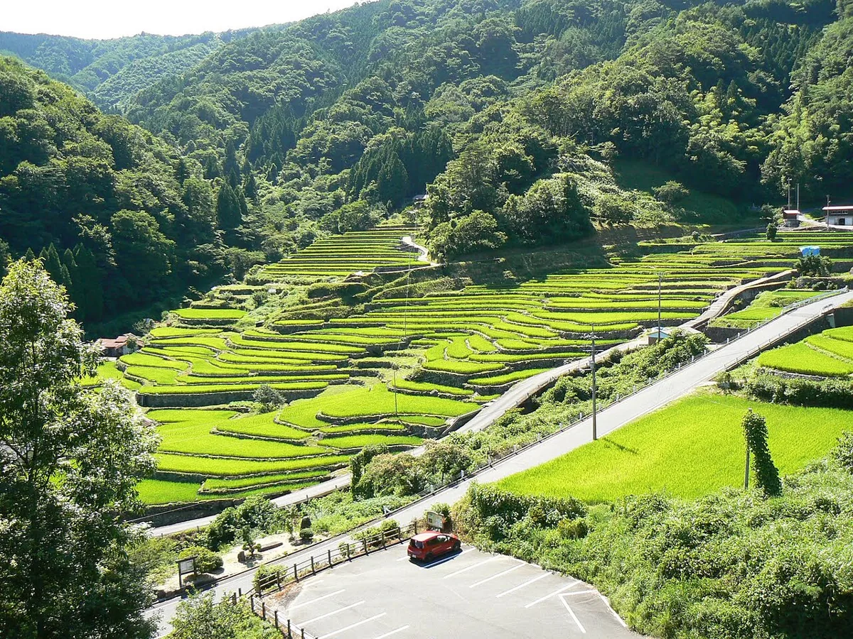2010년 7월 오이다니 다랑논