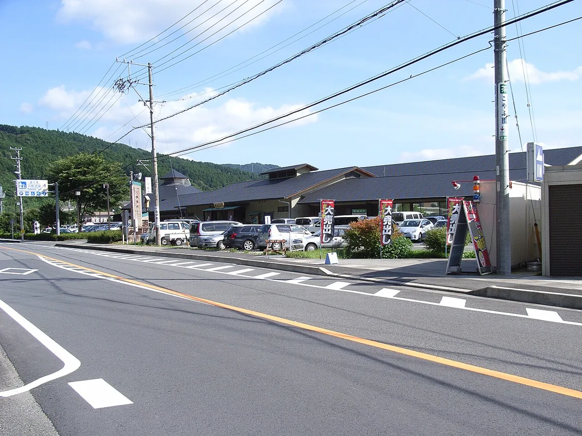Kawane Onsen Roadside Station in Shimada in 2010