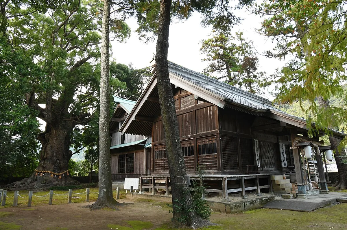 2021年の川津来宮神社の社殿と大クス