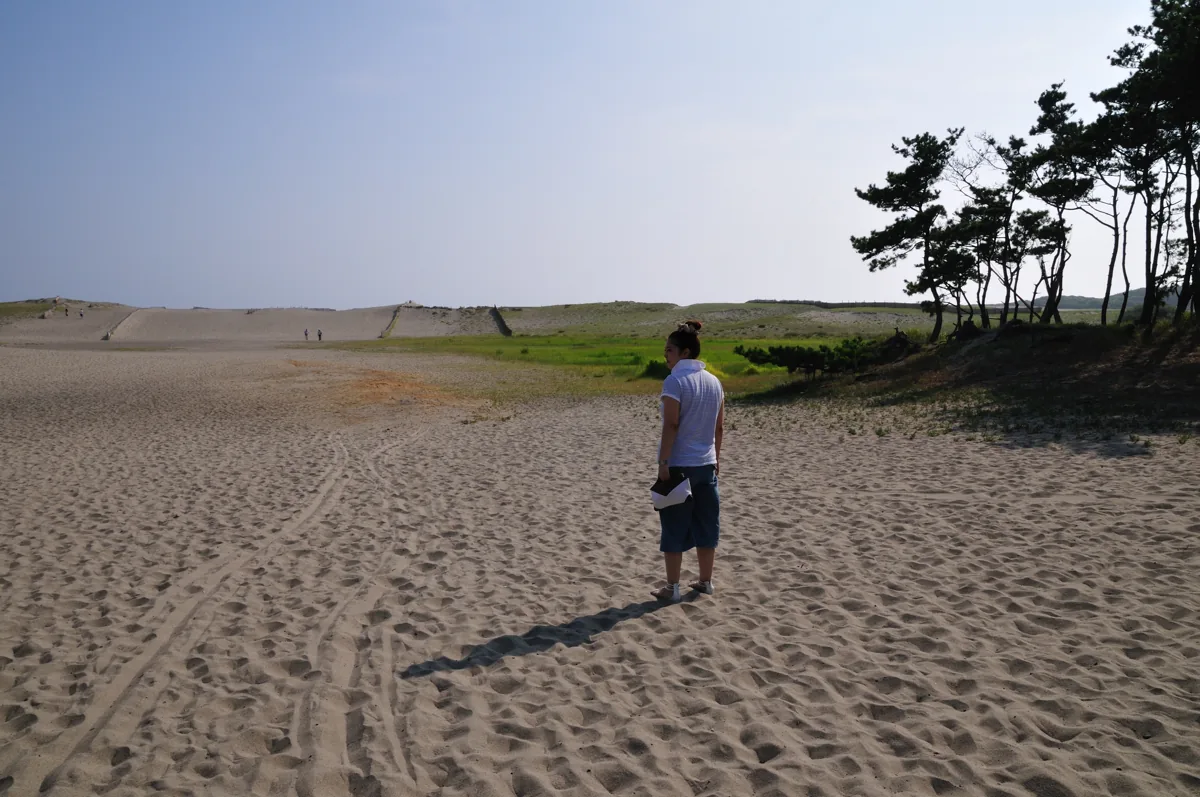 나카타지마의 모래 언덕과 해안 나무