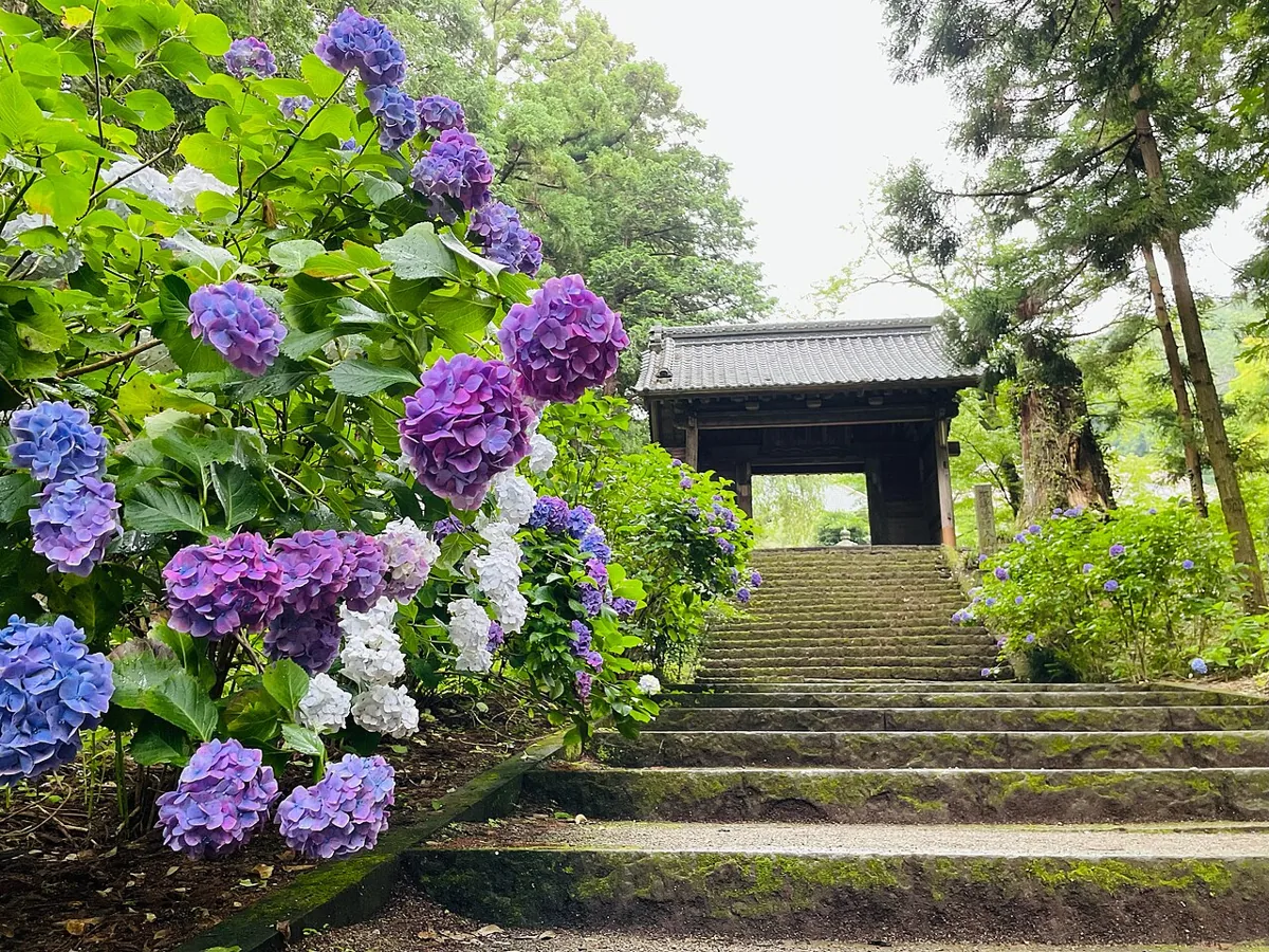 Daichu-ji approach and gate in June 2021