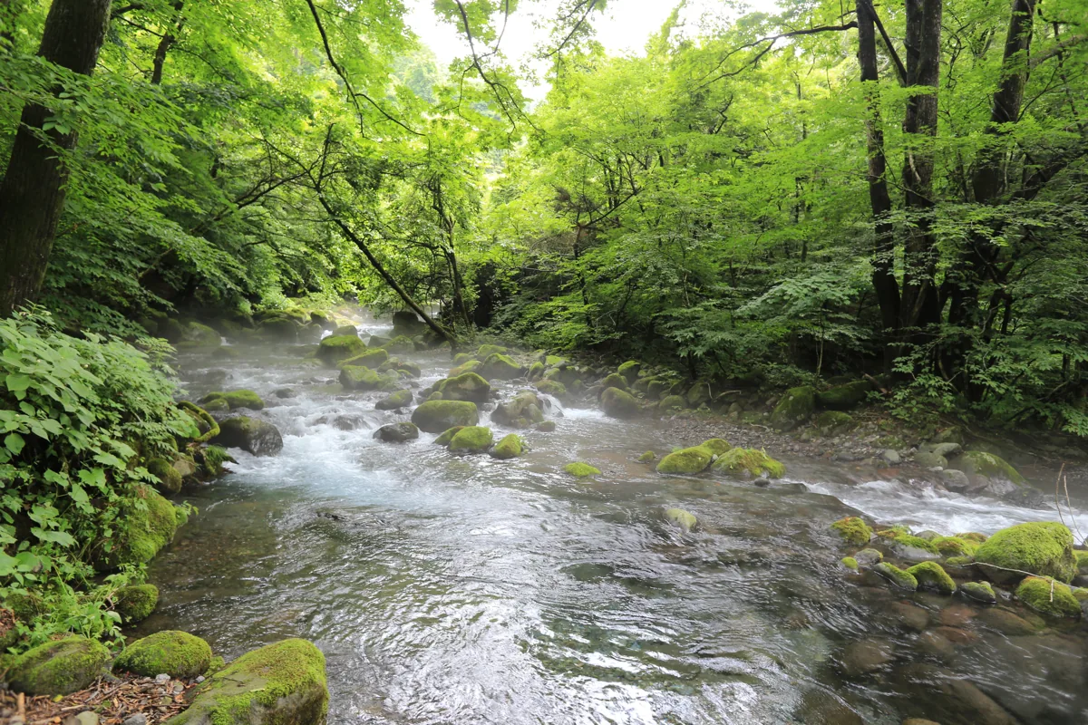 Photograph of Shojinzawa Springs