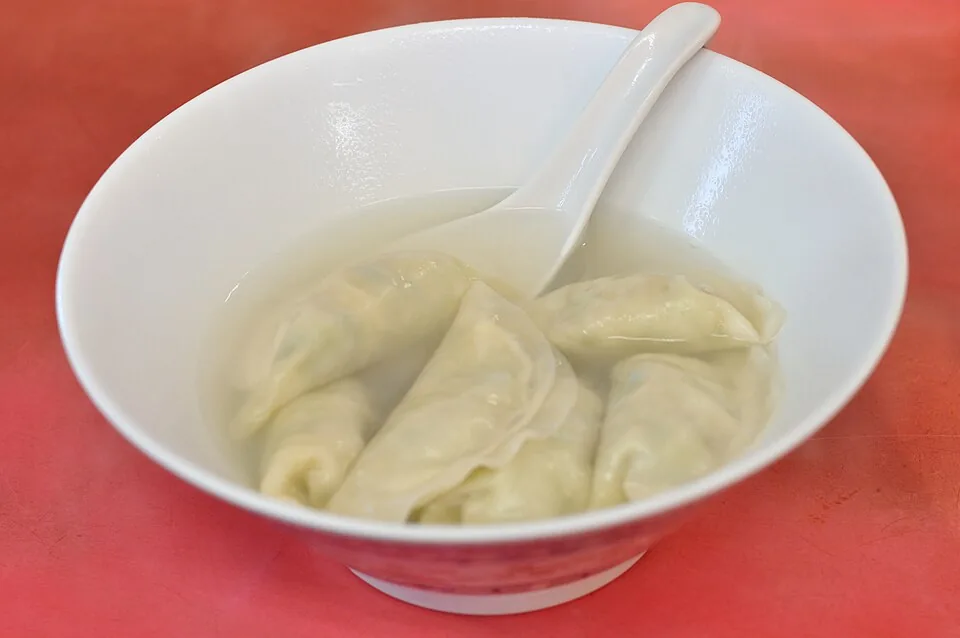 宇都宮で撮影された水餃子の一皿