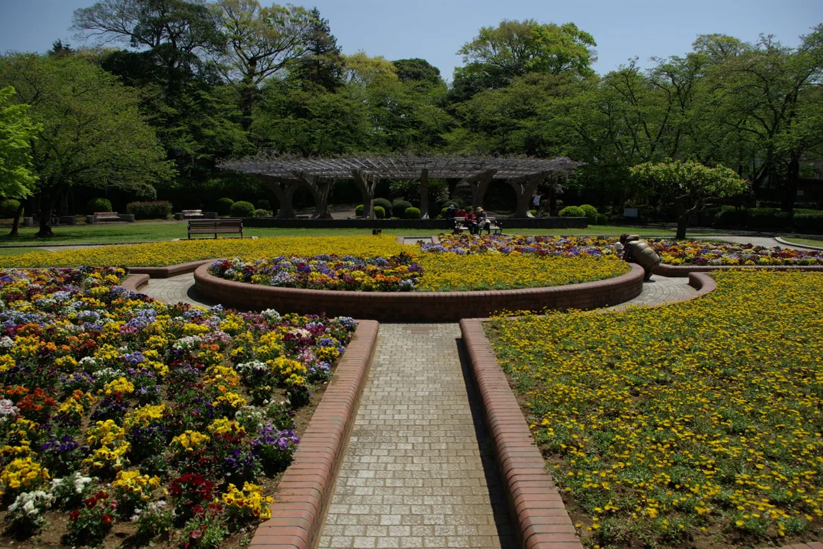 2010年の里見公園の花壇と庭園
