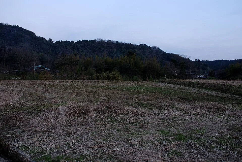 2007년 들판에서 멀리 바라본 구루리성 언덕