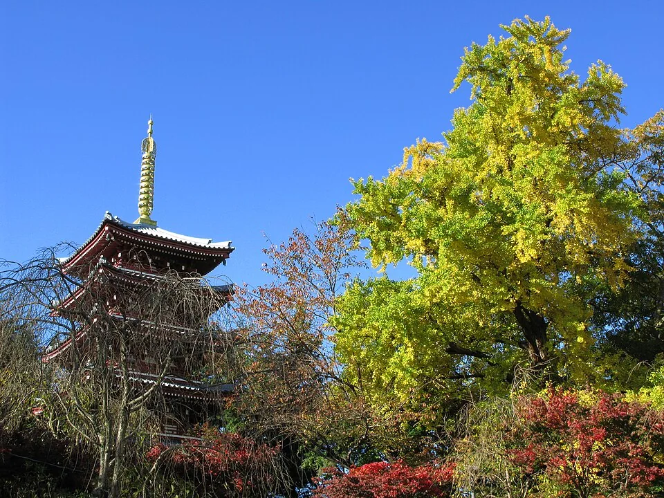 2008年11月の本土寺の五重塔と木々