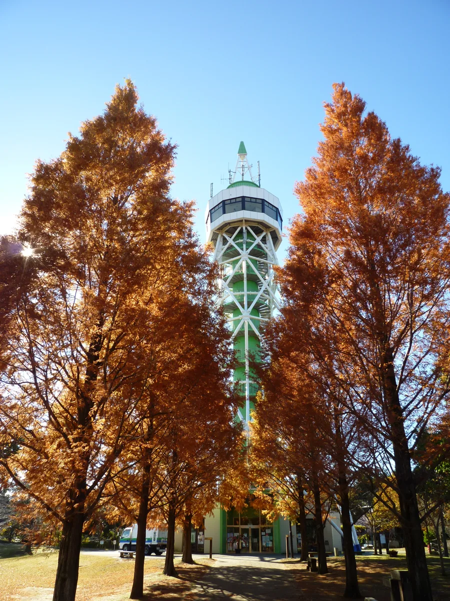 さんぶの森公園の写真