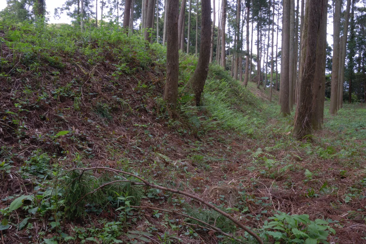 2007年の坂田城跡の森の土塁