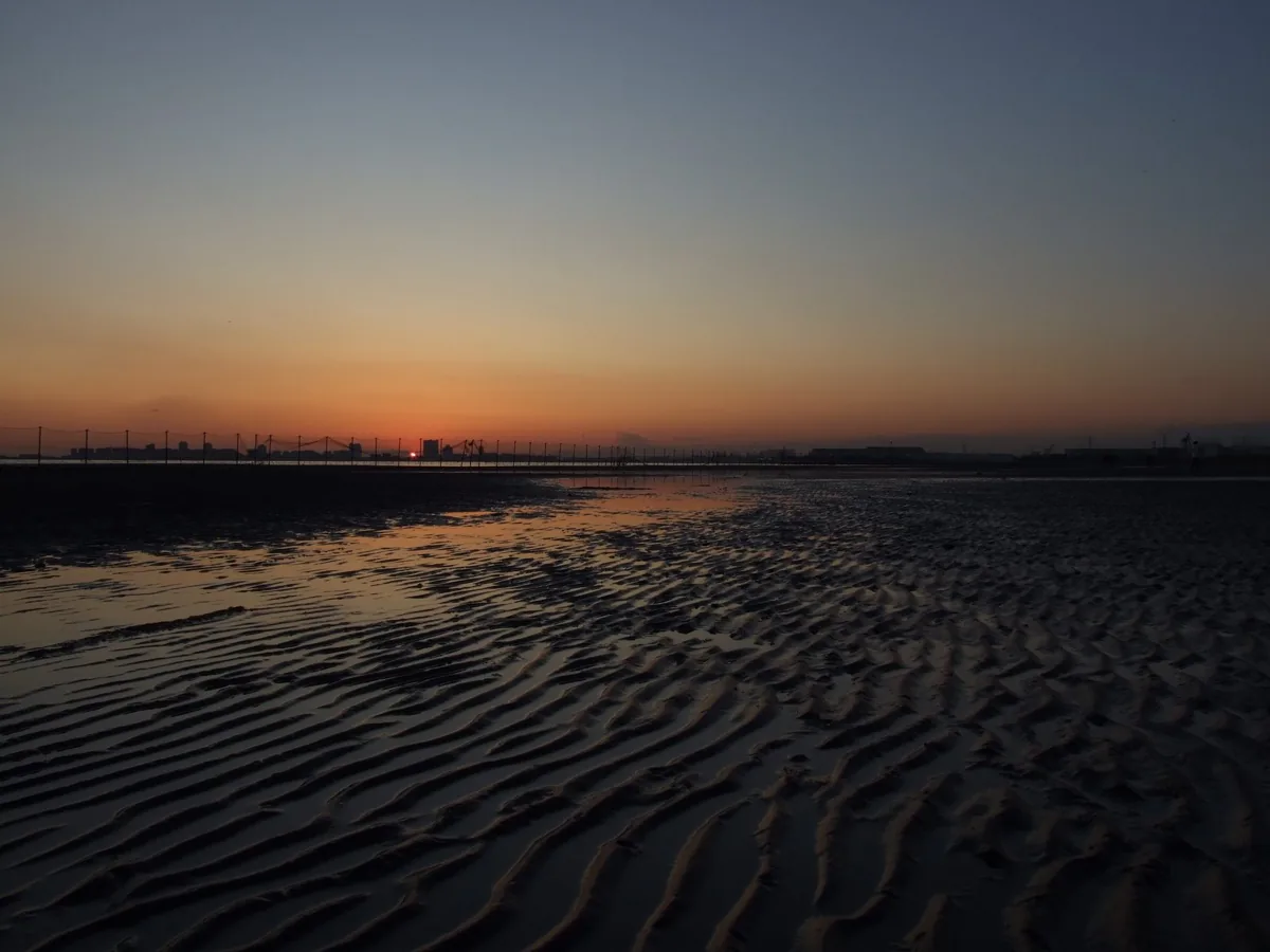 Rippled tidal flats and the horizon at Sanbanze at dusk