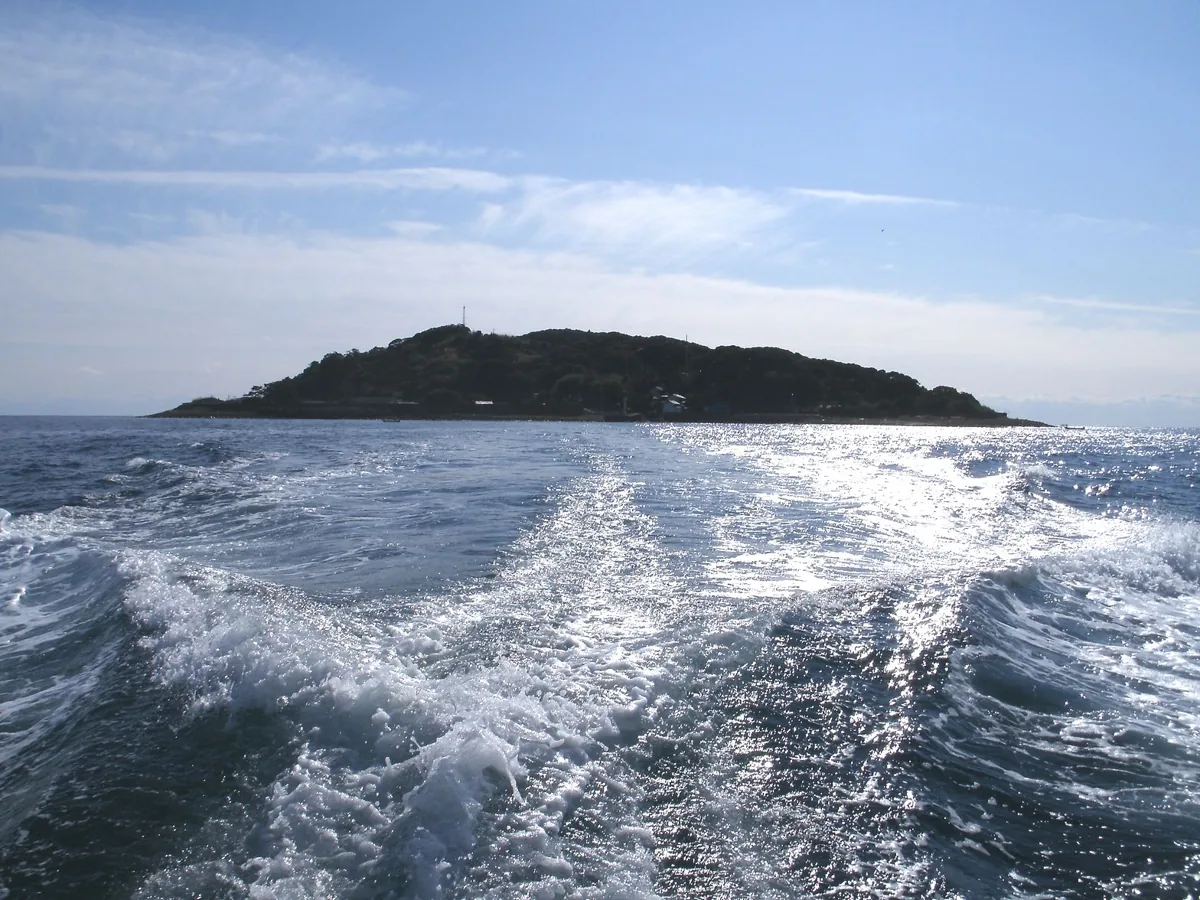 船から見た出羽島の遠景、2009年
