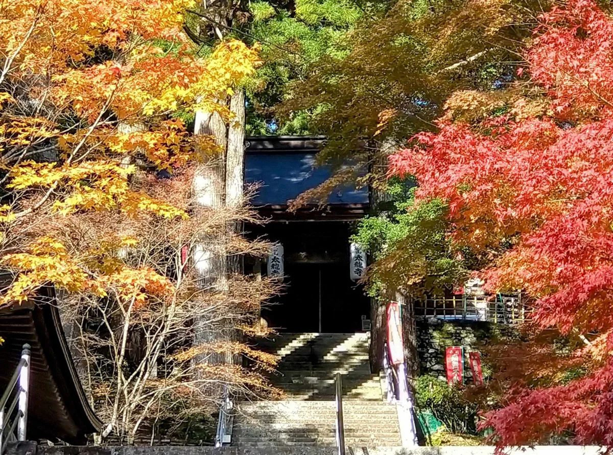 Tairyuji grounds in Anan in 2024