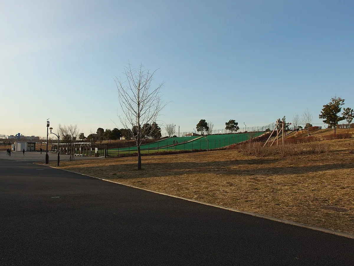 舎人公園の冬の芝生と散歩道