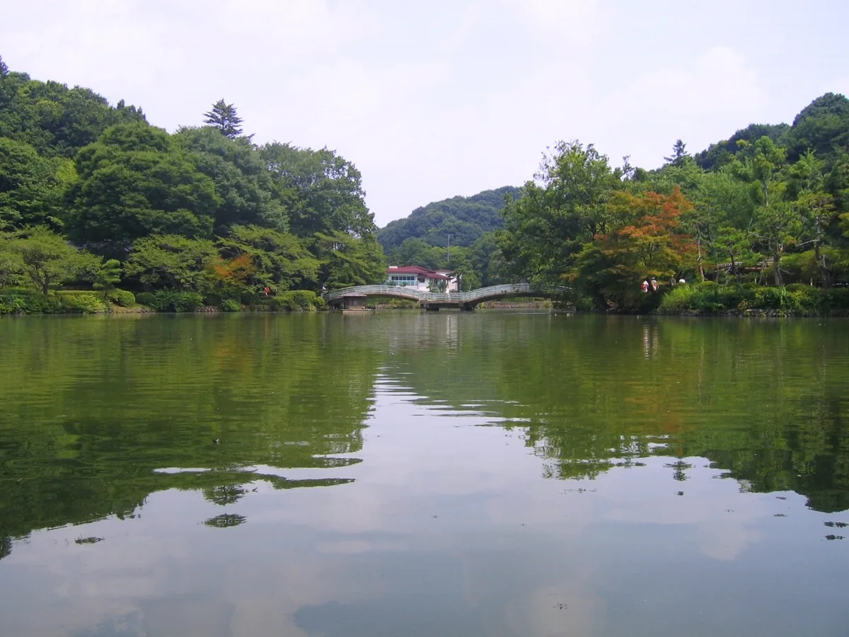 야쿠시이케 연못과 주변 나무